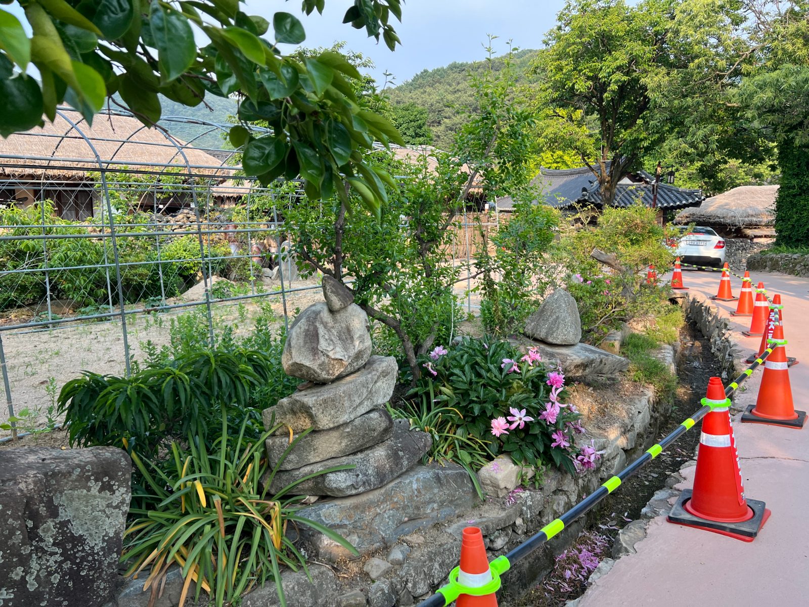 라바콘